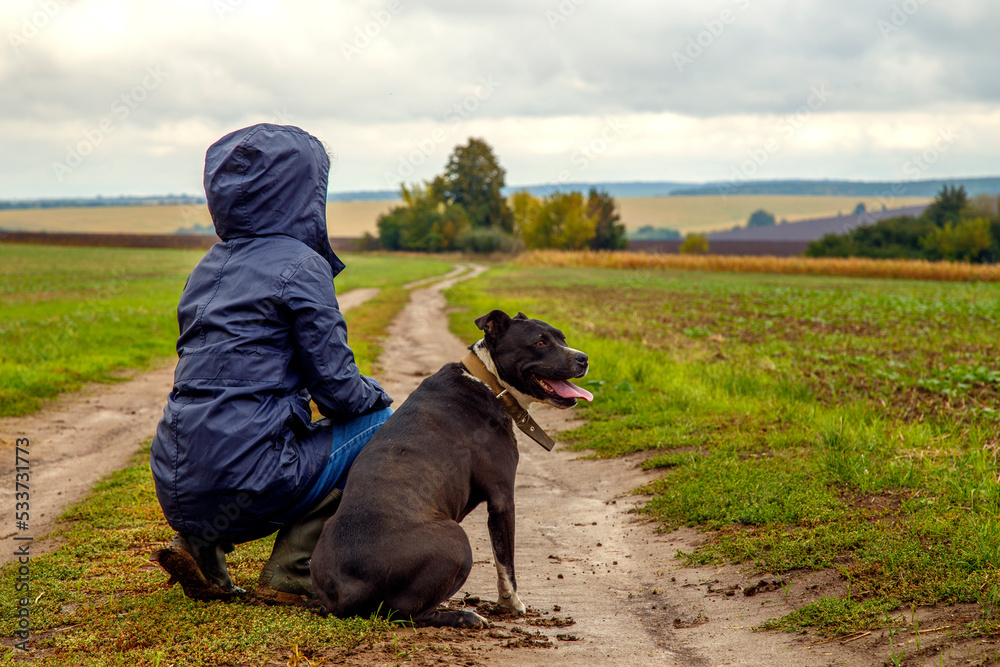 A woman walks her dog in a field after a thunderstorm. Girl with staffordshire terrier in nature on a cloudy day. The concept of freedom, happiness, friendship, nature. A woman walks her dog in a field after a thunderstorm. Girl with staffordshire terrier in nature on a cloudy day. The concept of freedom, happiness, friendship, nature.