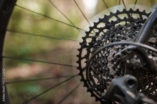 Close-up of a bicycle gear and chains on the rear wheel of a mountain bike.