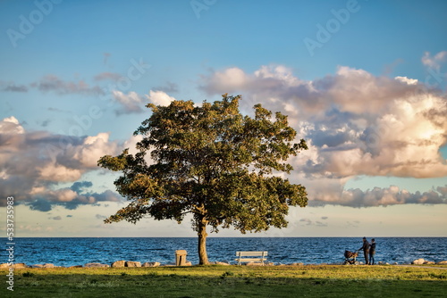 Fototapeta Naklejka Na Ścianę i Meble -  sassnitz, deutschland - 11.10.2020 - ufer an der ostsee