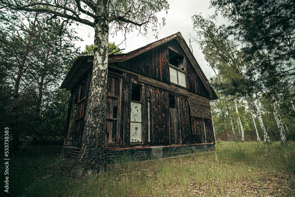 Fototapeta premium cabin_I