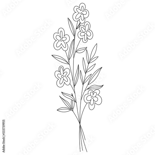 Fototapeta Naklejka Na Ścianę i Meble -  Wildflower floral Line art illustration