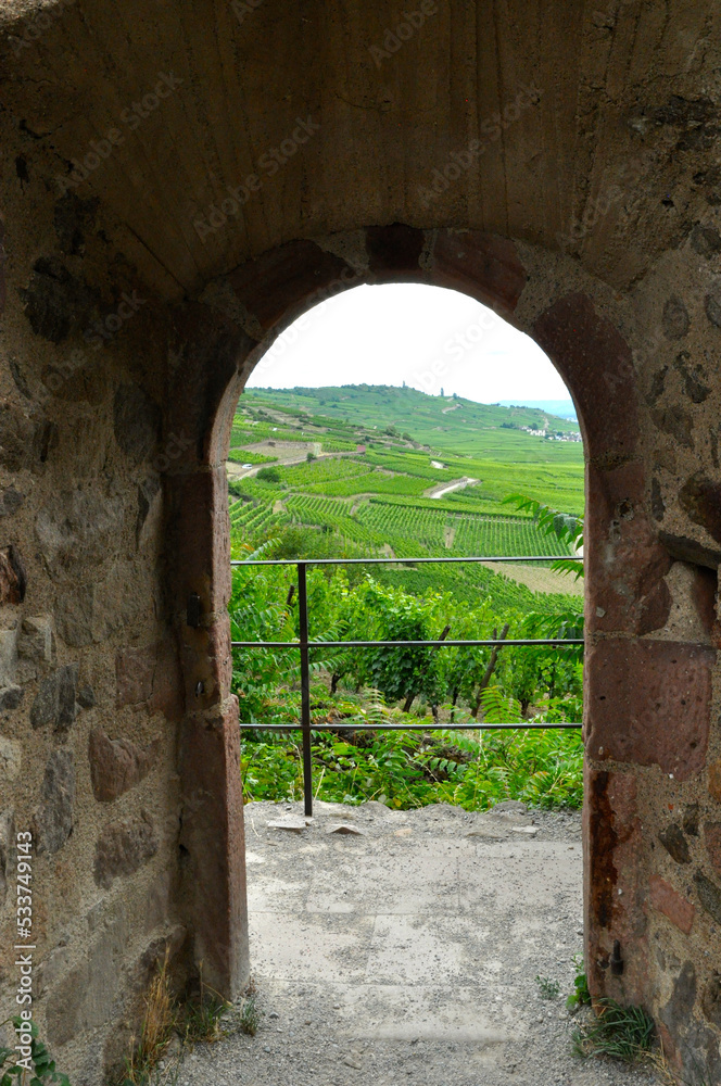 Vineyards through an Arch