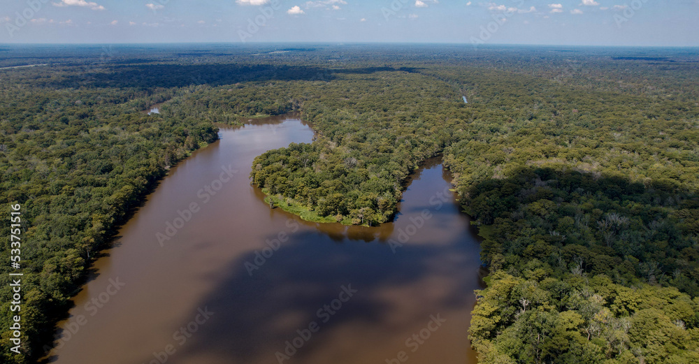 Louisiana Swamp bay and cypress tree forest with levee afternoon high angle landscape shot