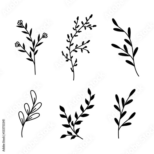Fototapeta Naklejka Na Ścianę i Meble -  Vector illustrations of branches and leaves. Hand drawn black floral elements . Vintage botanical design