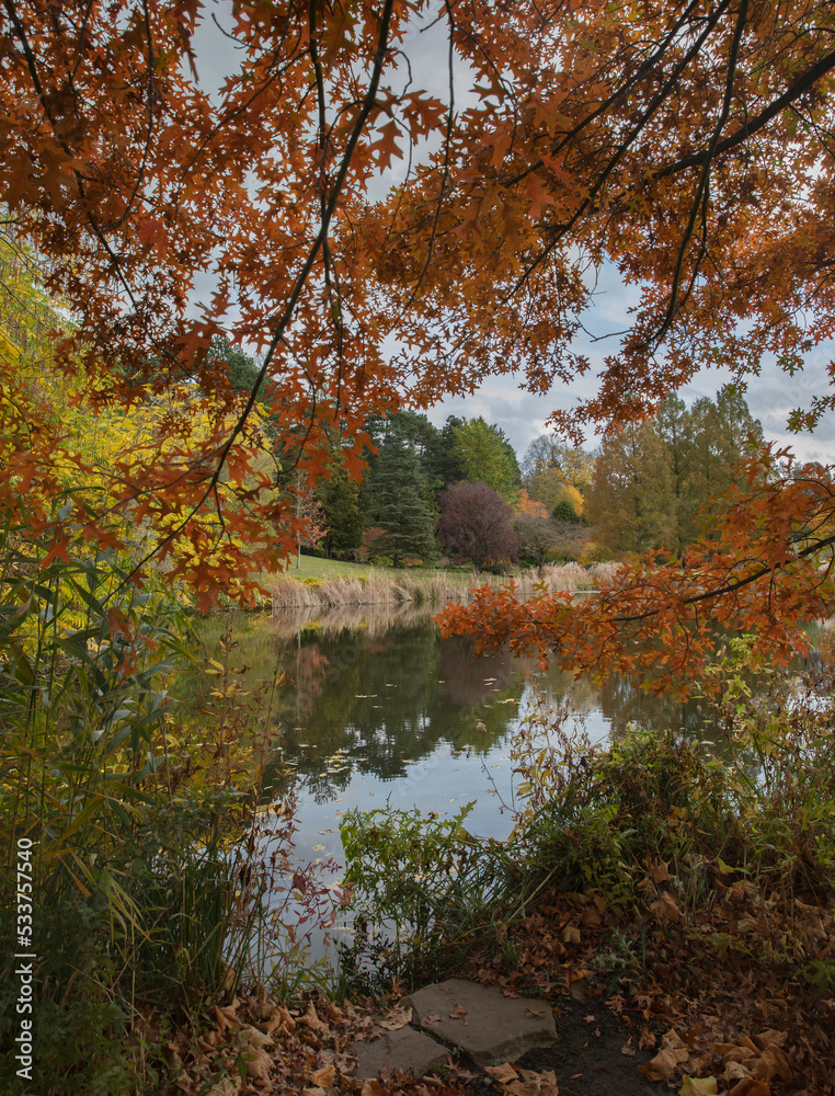 Fototapeta premium Autumn landscape, yellow and orange trees in Westfalenpark, Dortmund Germany