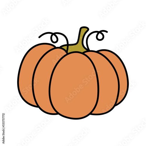 The orange pumpkin is the symbol of Halloween and Thanksgiving. Vector design on isolated background. Cartoon style. For print and web.