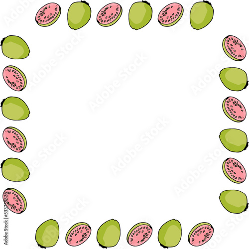 Square frame with guajava on white background. Vector image.