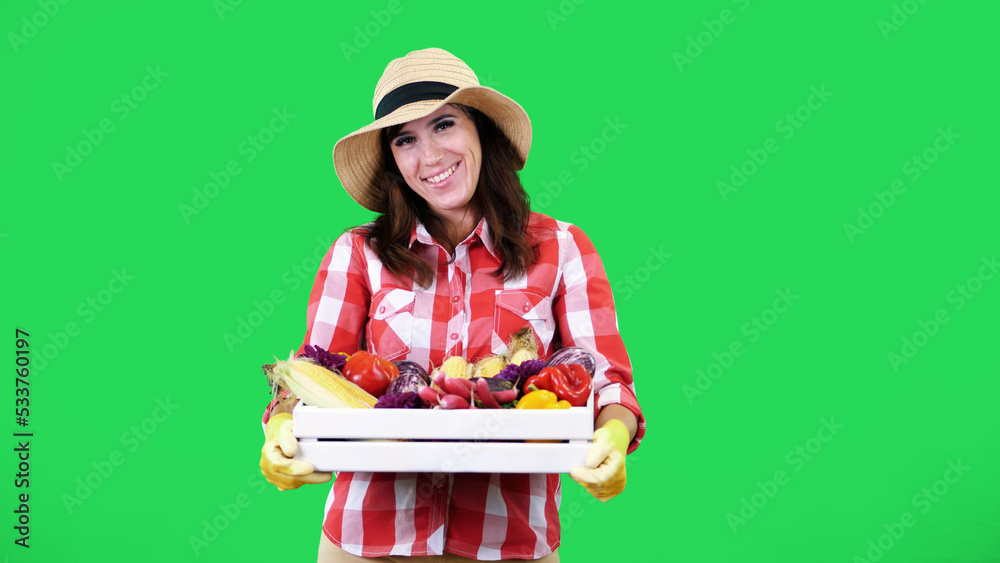 smiling female farmer in plaid shirt, gloves and hat wipes the sweat, holds a box with different fresh vegetables, harvest. green background, studio, Healthy food to your table. High quality photo