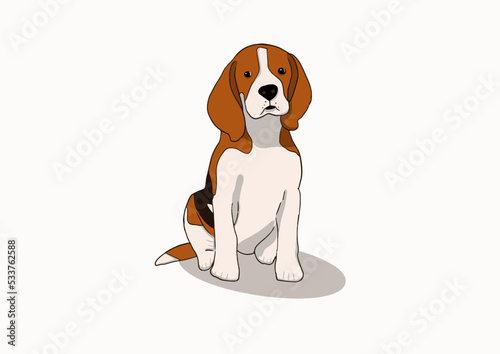 So Cute sitting beagle puppy. Flat dog vector illustration.