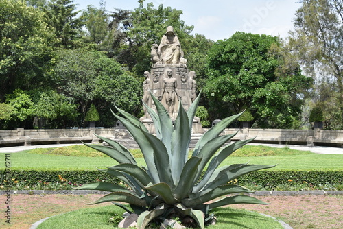 Agave Plant with Historical Mexican Sculpture in Background, Chapultepec Park photo