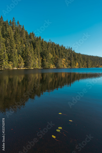 Big Svartdalstjern Lake of the Totenaasen Hills with water lilies in autumn.