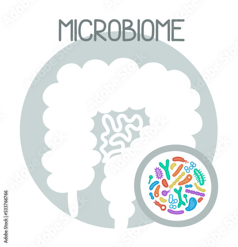 Human microbiome illustration with intestines and bacteria Vector picture. Gastroenterologist. Bifidobacteria, lactobacilli. Lactic acid bacteria.