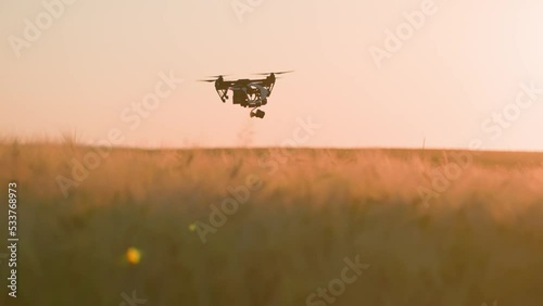 High-tech innovation in agriculture. Drone flying over farmland during sunset. Quadcopter on rural background. Technologies in farming. Industrial agriculture. Outdoor, rural view. Summer