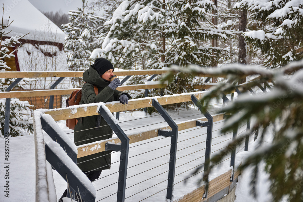 the girl stands on the bridge and looks at the winter landscape the girl stands on the bridge and looks at the winter landscape