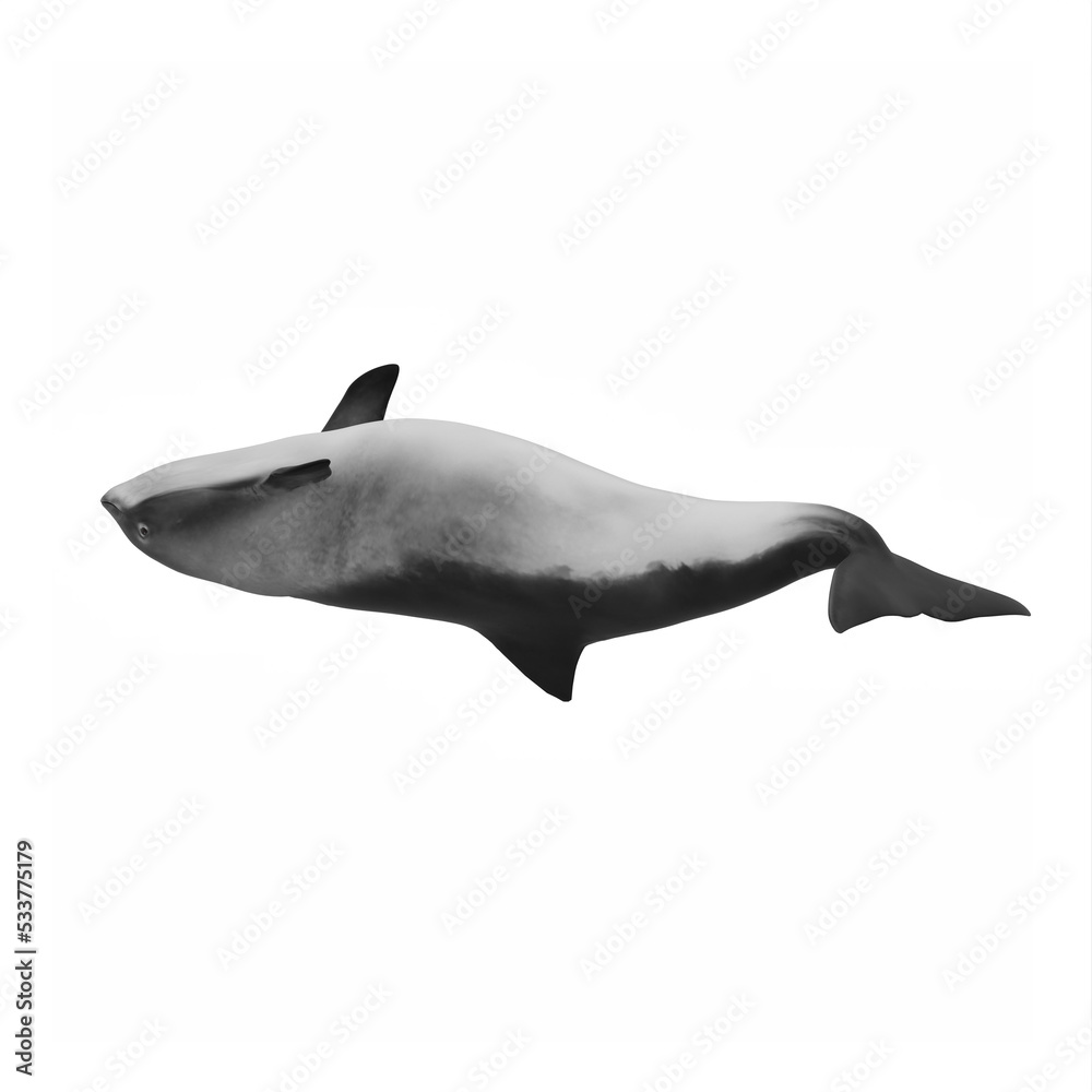Naklejka premium Porpoise Dolphin