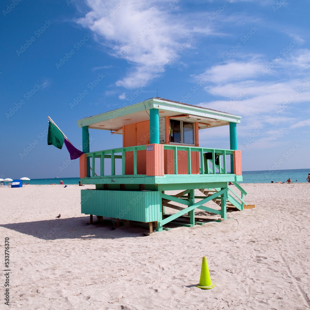 Obraz premium Lifeguard home