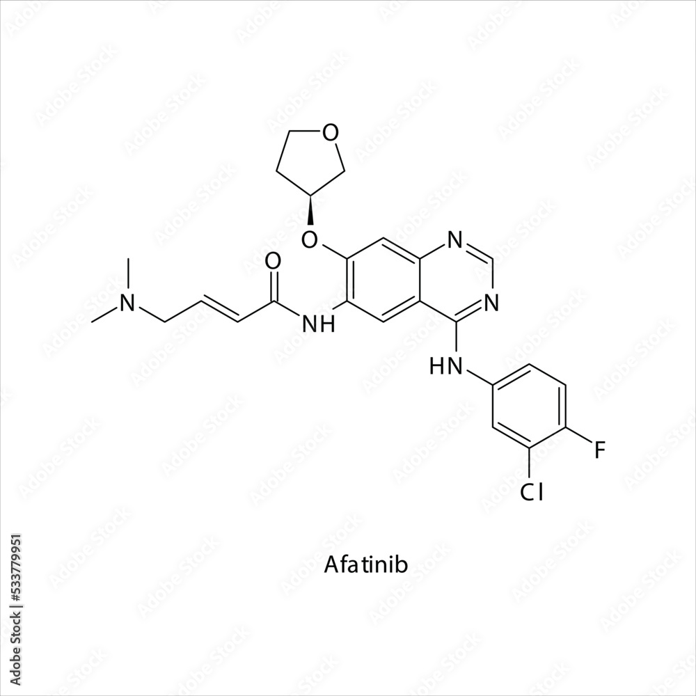Afatinib molecule flat skeletal structure, Tyrosine kinase - Her2 and EGFR inhibitor used in non-small cell lung cancer Vector illustration on white background. Afatinib molecule flat skeletal structure, Tyrosine kinase - Her2 and EGFR inhibitor used in non-small cell lung cancer Vector illustration on white background.