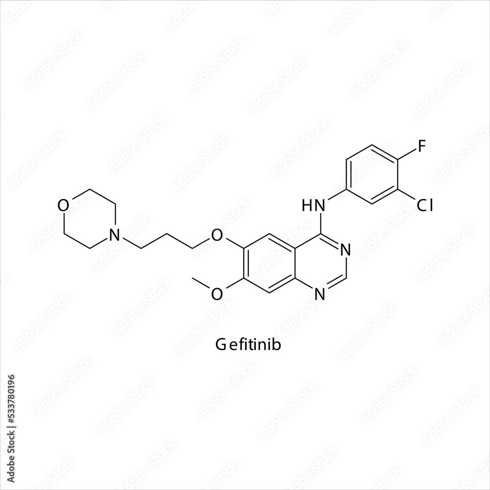 Gefitinib molecule flat skeletal structure, Tyrosine kinase - EGFR inhibitor used in non-small cell lung cancer Vector illustration on white background. Gefitinib molecule flat skeletal structure, Tyrosine kinase - EGFR inhibitor used in non-small cell lung cancer Vector illustration on white background.