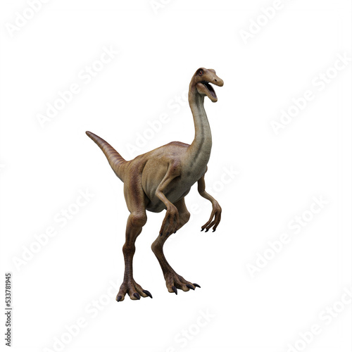 gallimimus dinosaur © onay