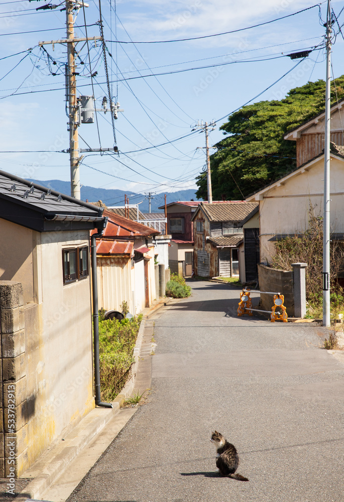猫島の暮らし 猫島の暮らし