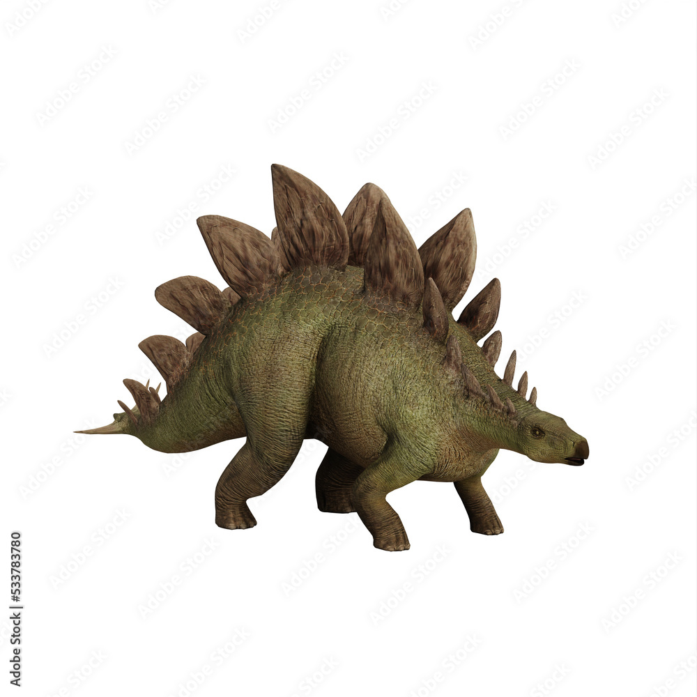 Stegosaurus Dinosaur