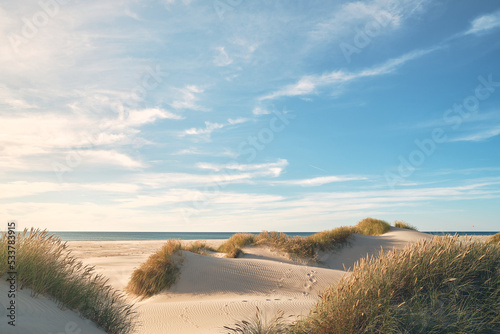 Obraz na plátně Beautiful natural beach in northern Denmark. High quality photo