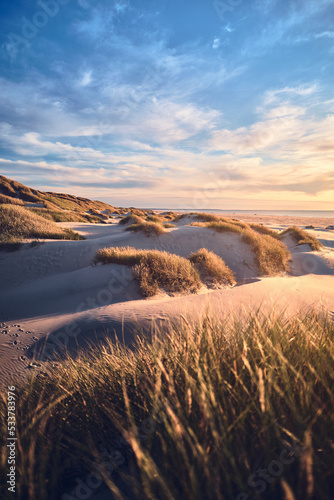 Sunset at the wild Dunes of northern Denmark. High quality photo