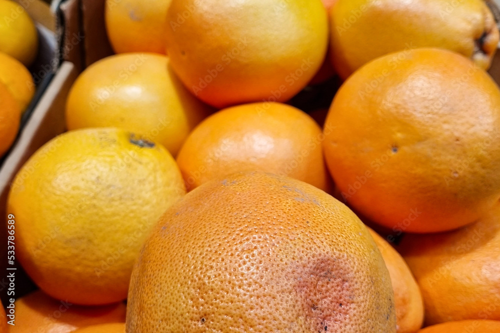 Grapefruits and oranges are orange and fresh fruits. Grapefruits and oranges are orange and fresh fruits.