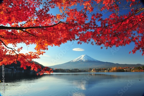 富士山と紅葉  © 文明 金本