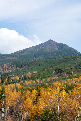 秋の黄葉の林と山の山頂 