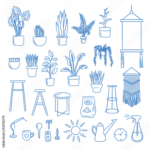 Vector hand drawn home plants doodles set. Succulents, fern, aloe, monstera, ficus, tables, wall hanging, soil, drip irrigation, watering can and scissors illustration