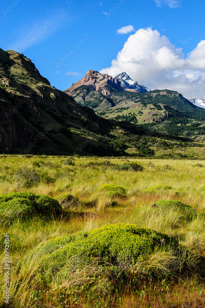 Chile, Aysen, Patagonia National Park, Valle Chacabuco. Landscape view with spiny Neneo plants in the foreground.