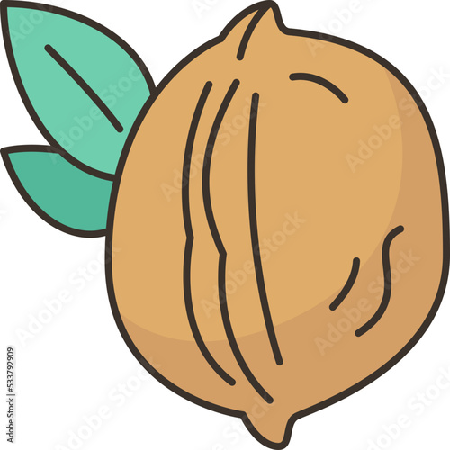 walnut  icon