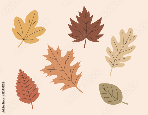 autumn leaves collection vector scalable colorful leaf illustrations strokes graphic resources unique shapes