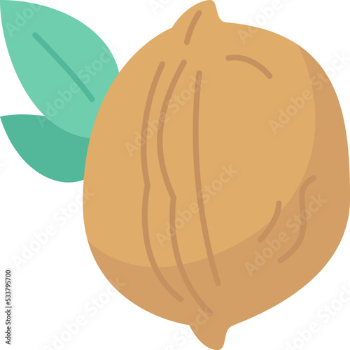 walnut  icon