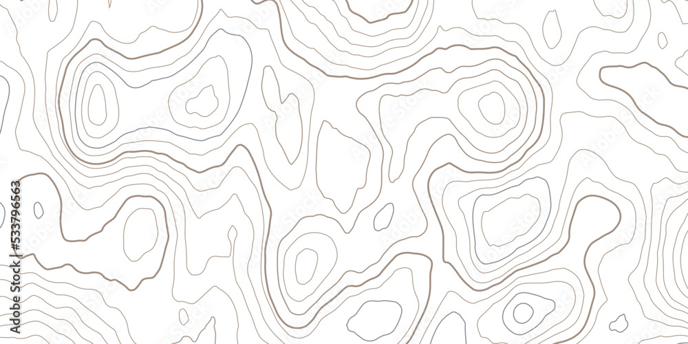 Topographic map background concept with space for your copy.Vector abstract illustration.Geography concept.