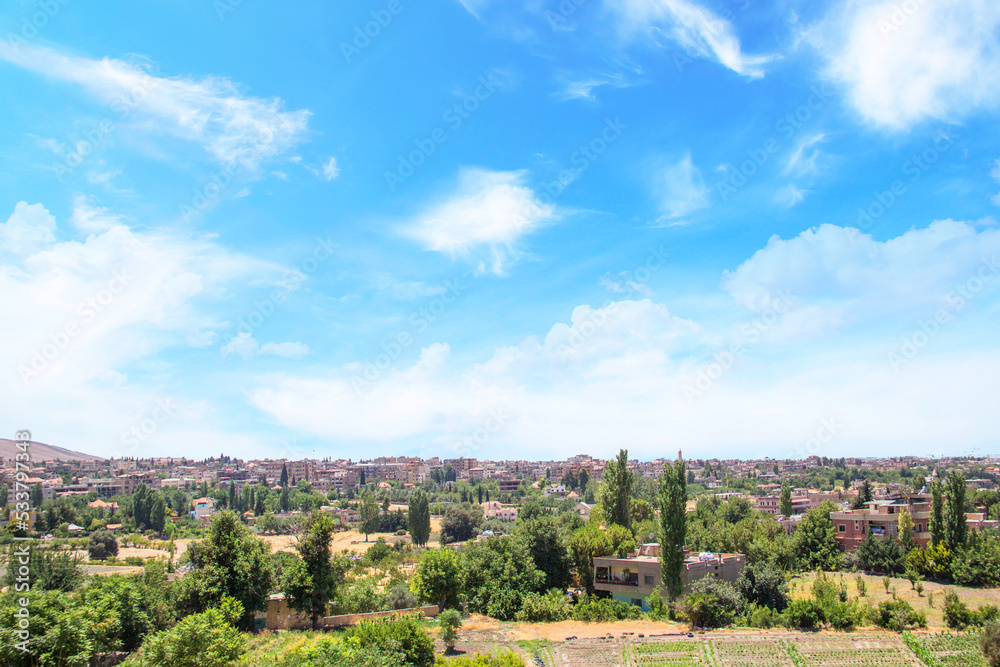 Beautiful view of the cedar grove in Lebanon Beautiful view of the cedar grove in Lebanon