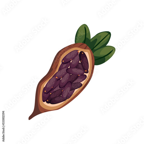 flat cocoa bean design