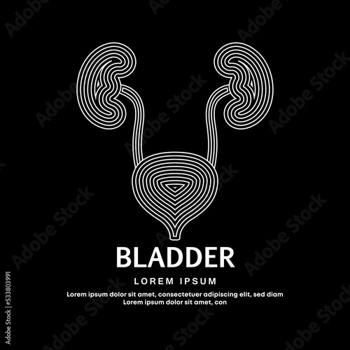 Human bladder medical structure. simple line art bladder Vector logotype illustration on dark background. Urinary tract logo vector template suitable for organization, company, or community. EPS 10