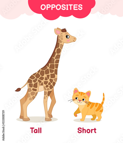 Vector learning material for kids opposites tall short. Cartoon illustrations of cute giraffe and kitten.