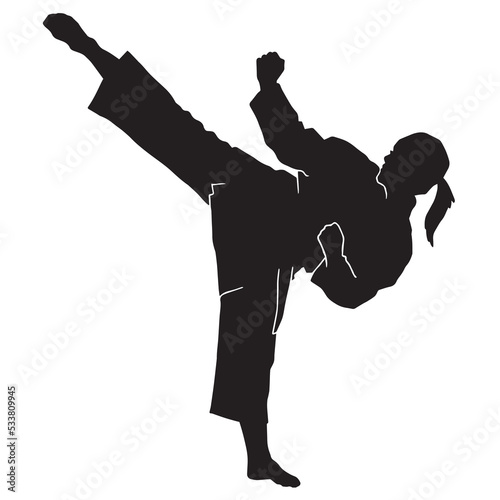 female martial athlete silhouette. karate kata athlete