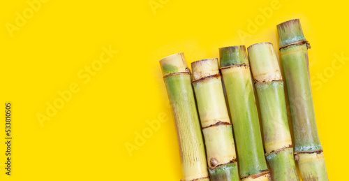 Sugar cane on yellow background.