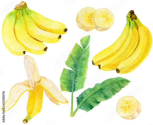 バナナの素材集 バナナの房 バナナの美 バナナの葉 水彩画