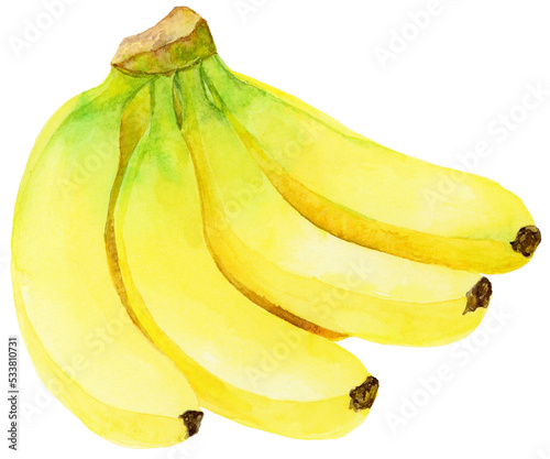 バナナの房 たくさんのバナナ 水彩画
