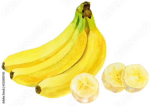 バナナの房 バナナの実 輪切り 水彩画