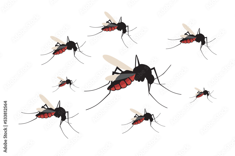 Mosquito vector. Mosquitoes bite humans. Flying insect illustration. Malaria plague insects Mosquito vector. Mosquitoes bite humans. Flying insect illustration. Malaria plague insects