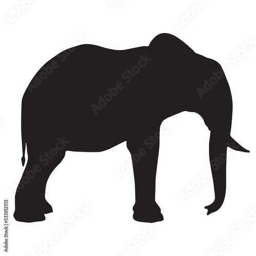 African elephant silhouette on white background