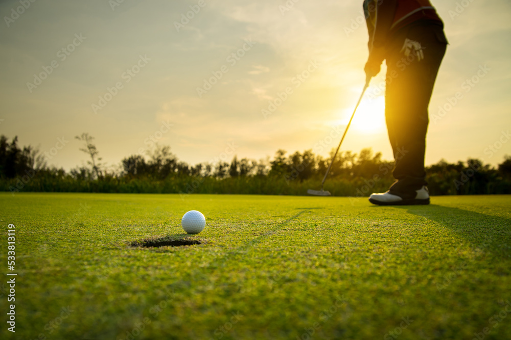 golfer putting a golf ball into a last hole on the green, golf course