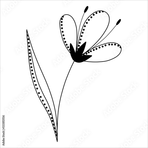 vector illustration of a snowdrop with a doodle-style ornament, on a white background.