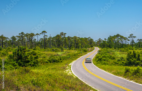 A lonely car drives on the road surrounded by forest